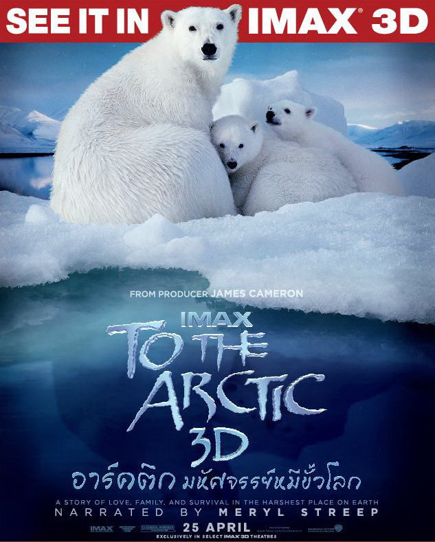 อัศจรรย์ หมีขั้วโลก To The Arctic